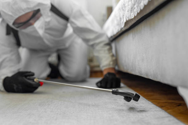 Professional Bed Bug Control technician working in Portage, MI